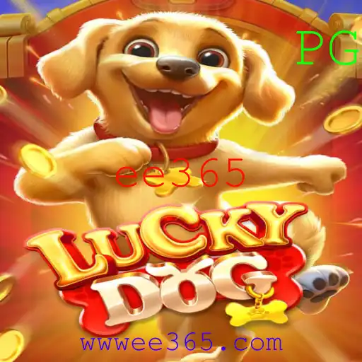 ee365 Casino App