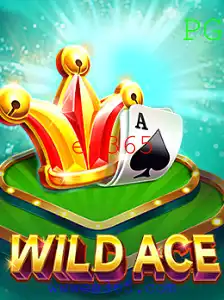ee365 Casino App